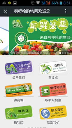 啊啰哈购物网4_副本.jpg