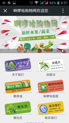 啊啰哈购物网3_副本.jpg
